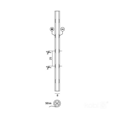 LED pás COB 6500K 24V 50m  IP20 TRAMO Kobi