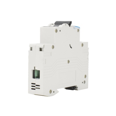 Istič 1P B06A 6kA Schelinger