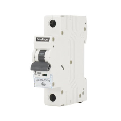 Istič 1P B02A 6kA Schelinger
