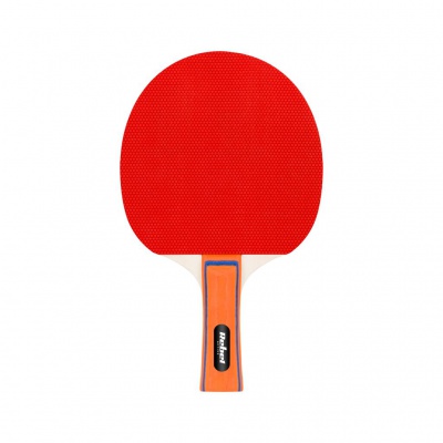 Sada rakiet na stolný tenis so sieťkou, Rookie