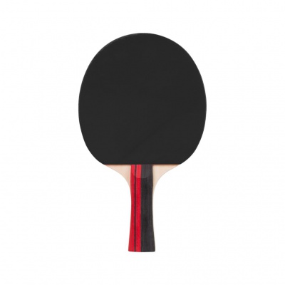 Sada rakiet na stolný tenis so sieťkou, Talent