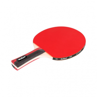 Sada rakiet na stolný tenis so sieťkou, Talent