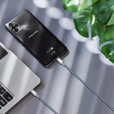 Kábel USB typ C - USB typ C  65W  1m REBEL sivý