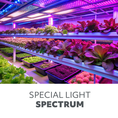 LED PLANTY FGS 8W E27