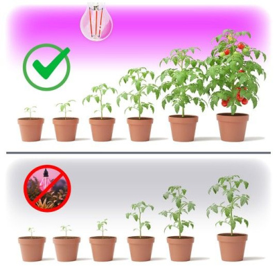 LED PLANTY FGS 8W E27