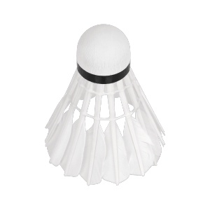 Príslušenstvo pre bedminton