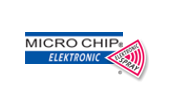 Micro-Chip